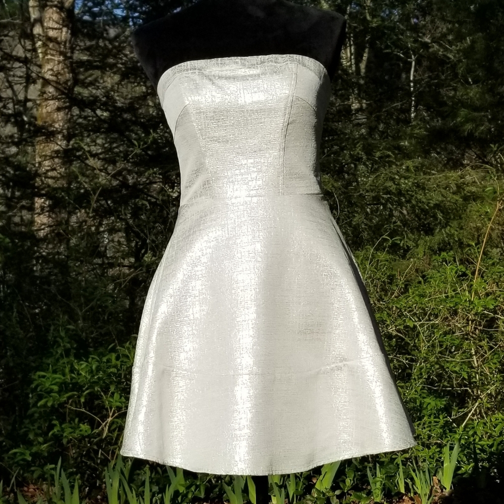 Express Brand Party Dress